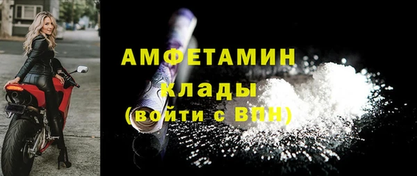 шишки Ладушкин