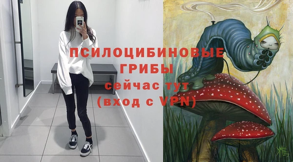 не бодяженный Лабытнанги